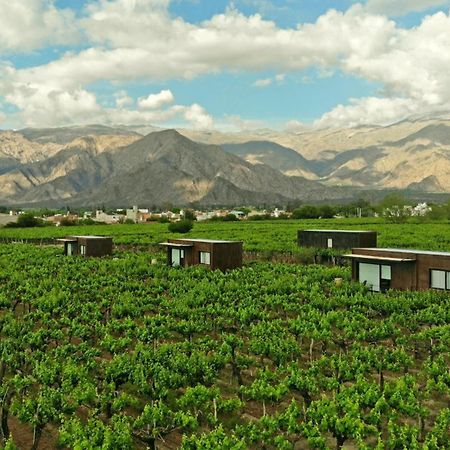 El Porvenir Wine Lodge Кафаяте Екстер'єр фото