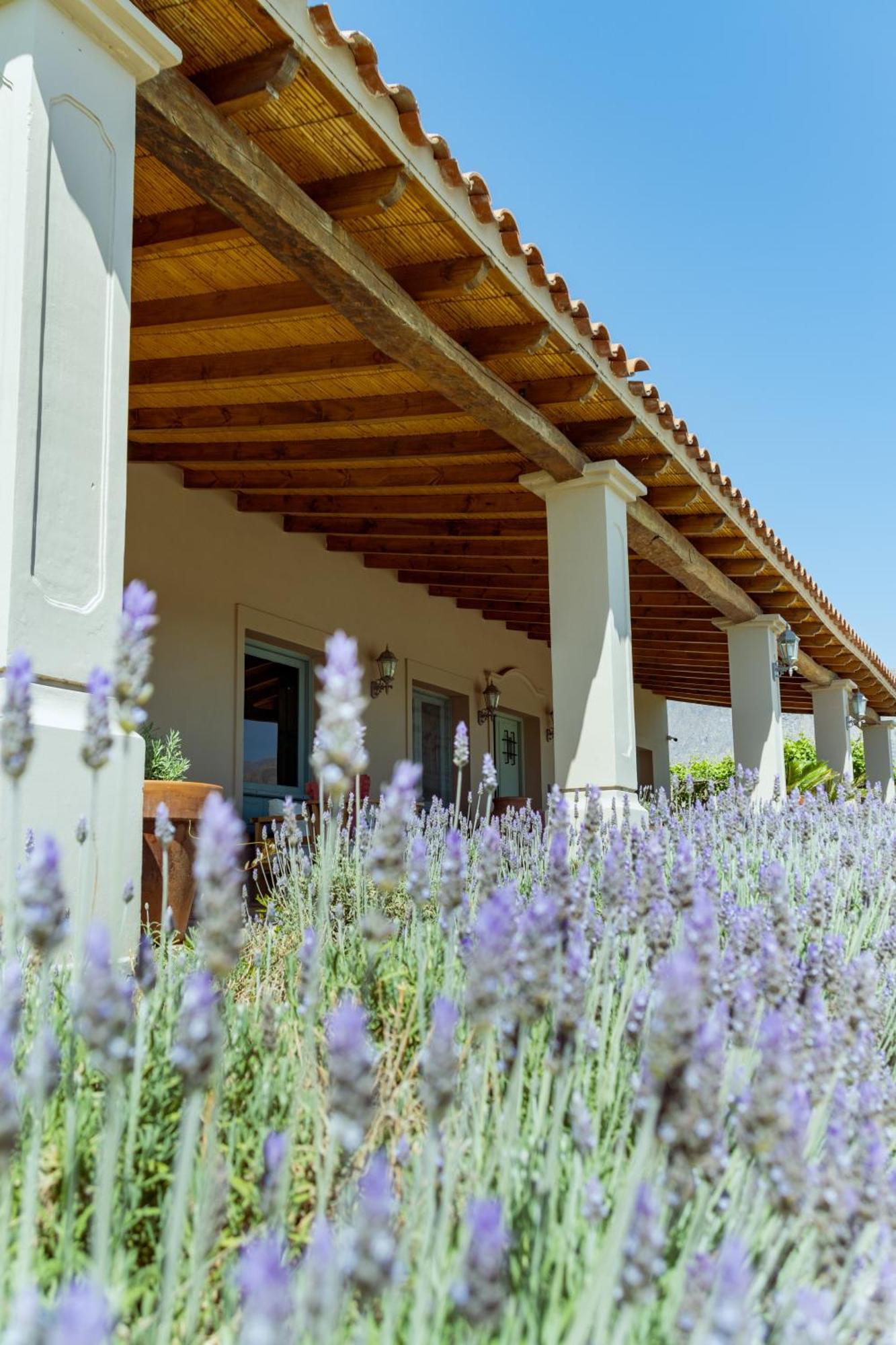 El Porvenir Wine Lodge Кафаяте Екстер'єр фото