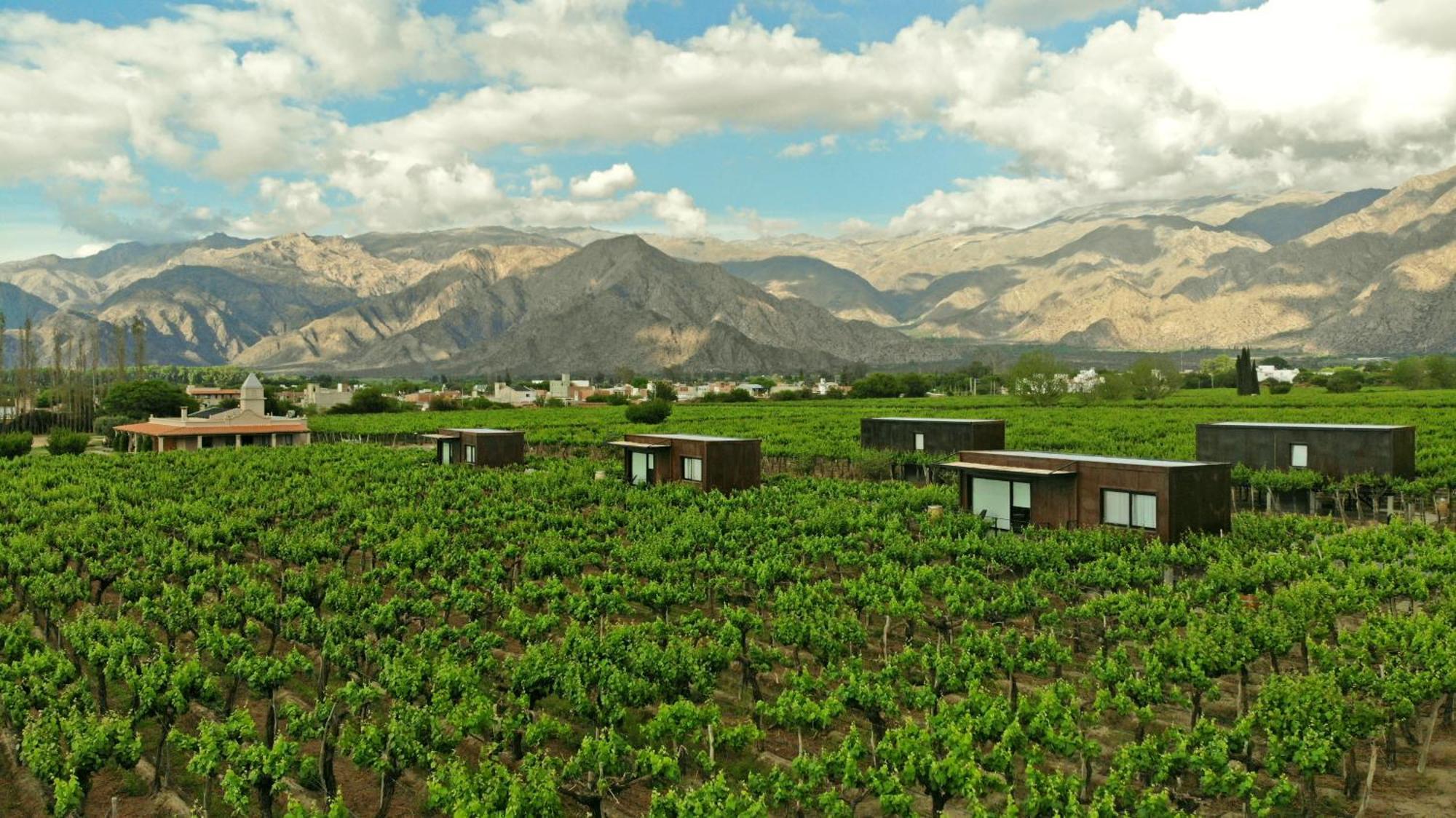 El Porvenir Wine Lodge Кафаяте Екстер'єр фото
