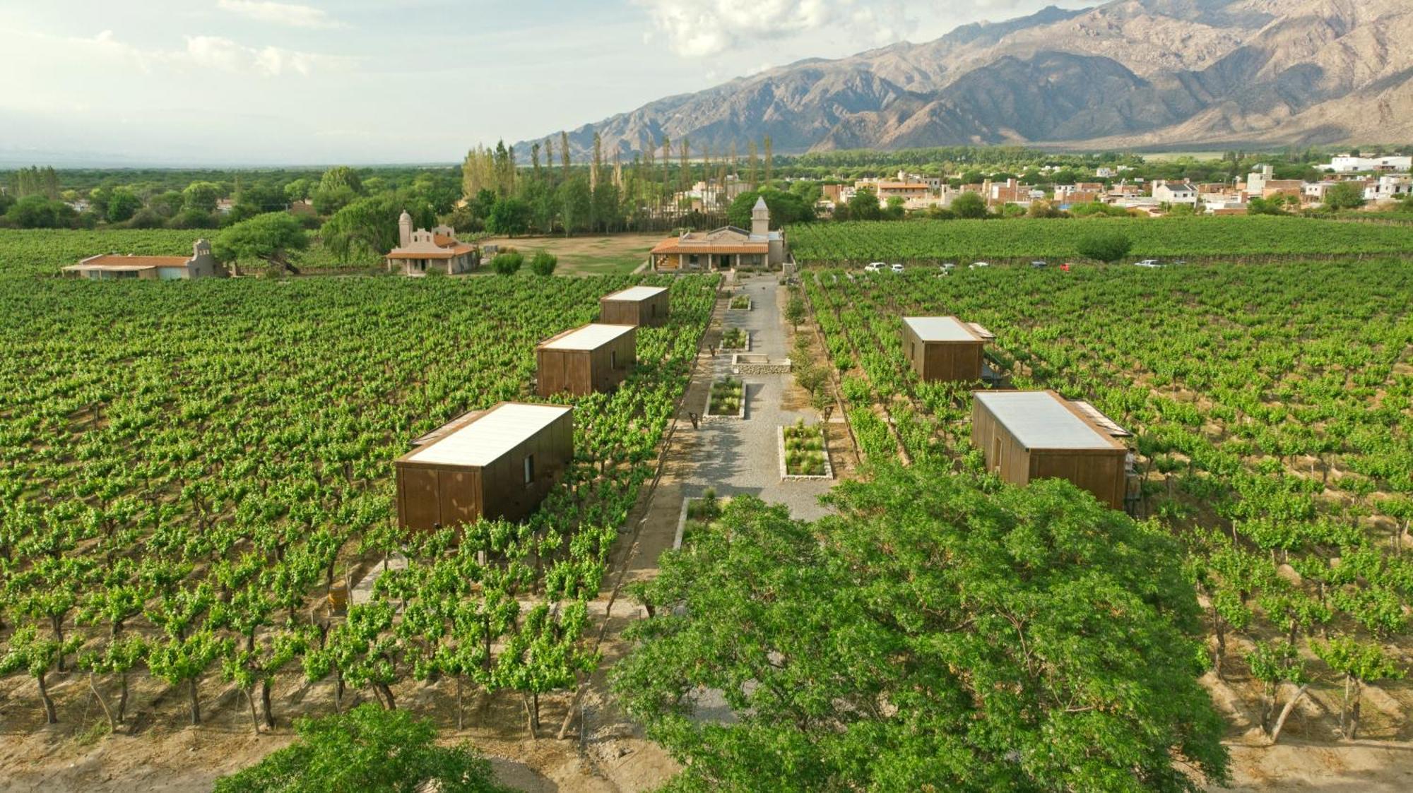 El Porvenir Wine Lodge Кафаяте Екстер'єр фото