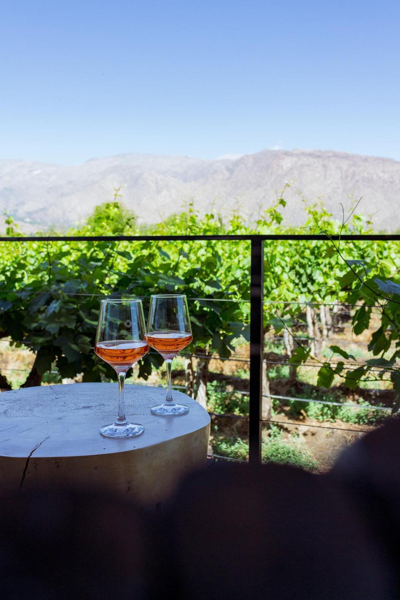 El Porvenir Wine Lodge Кафаяте Екстер'єр фото