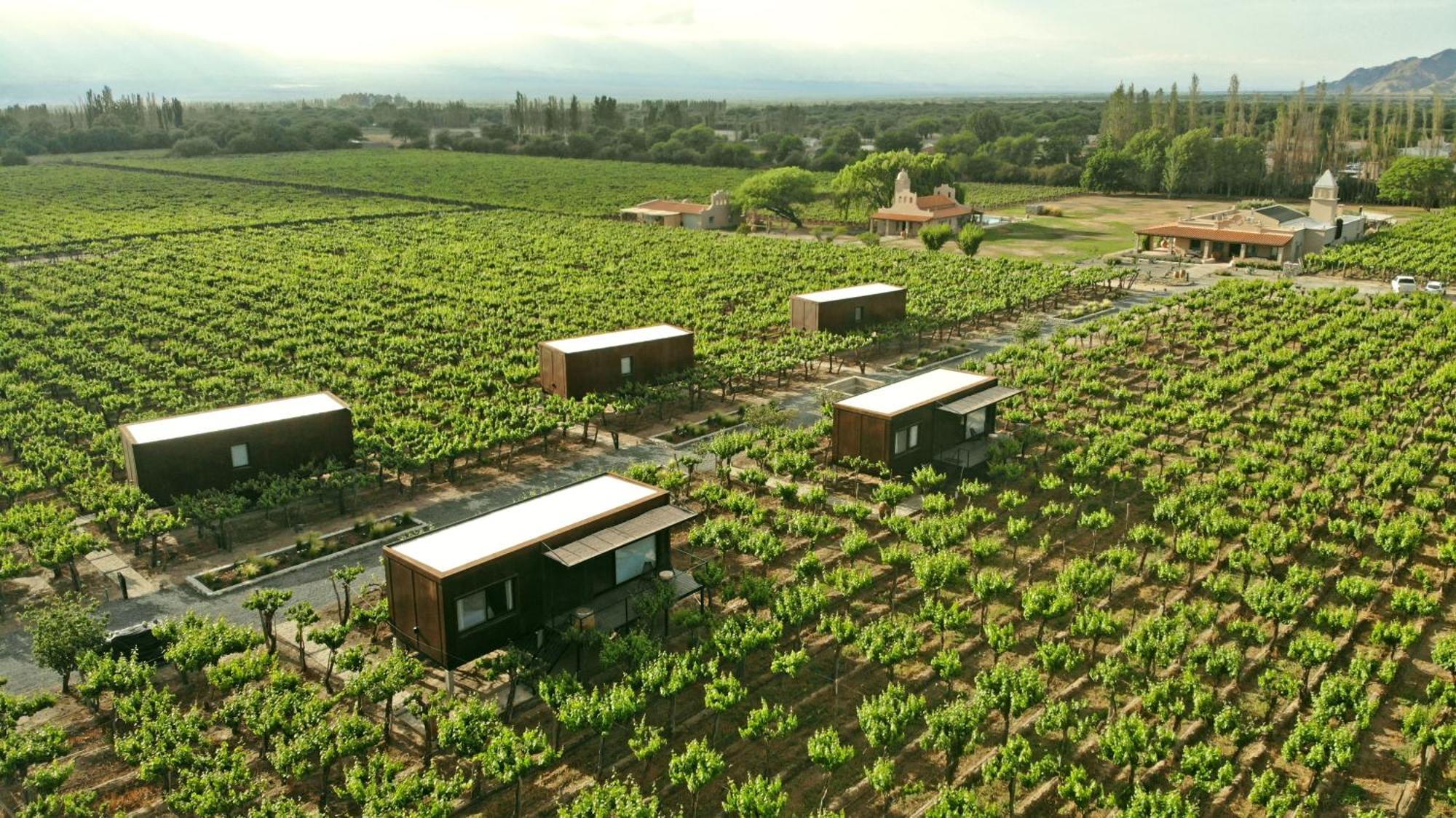 El Porvenir Wine Lodge Кафаяте Екстер'єр фото