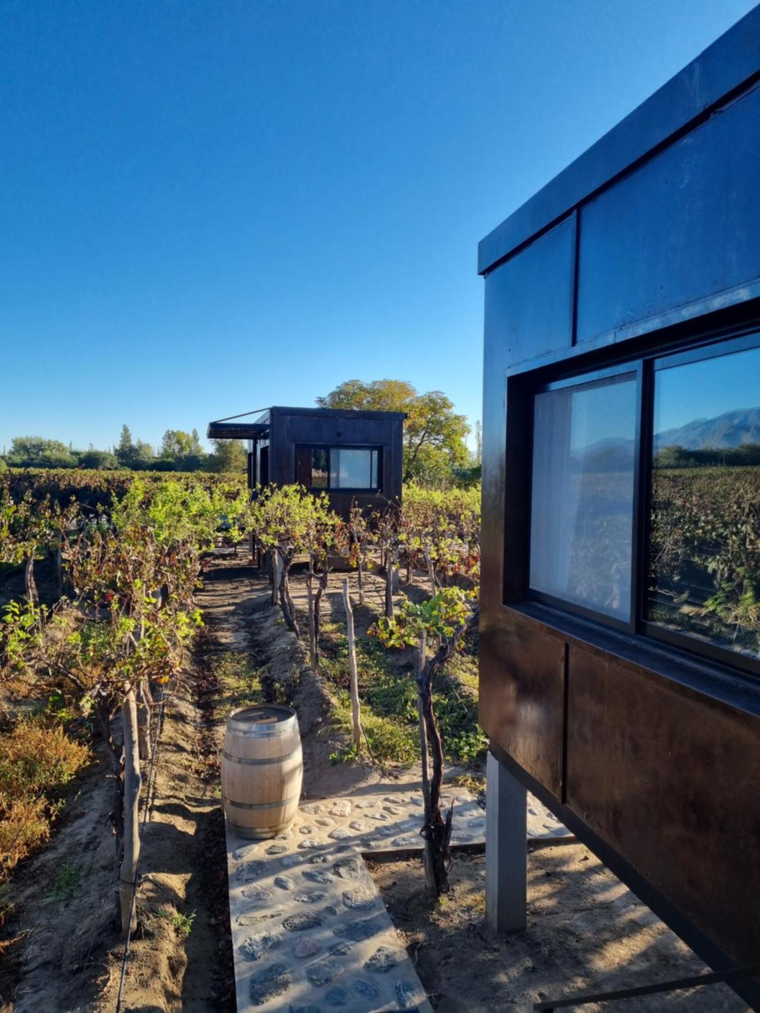 El Porvenir Wine Lodge Кафаяте Екстер'єр фото